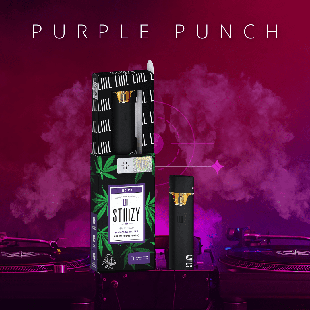 purple punch stiiizy disposable