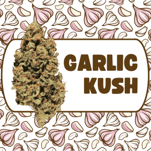 garlic kush