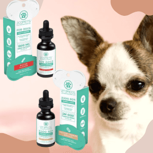cbd small pet