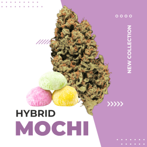 mochi