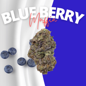 blueberry muffin