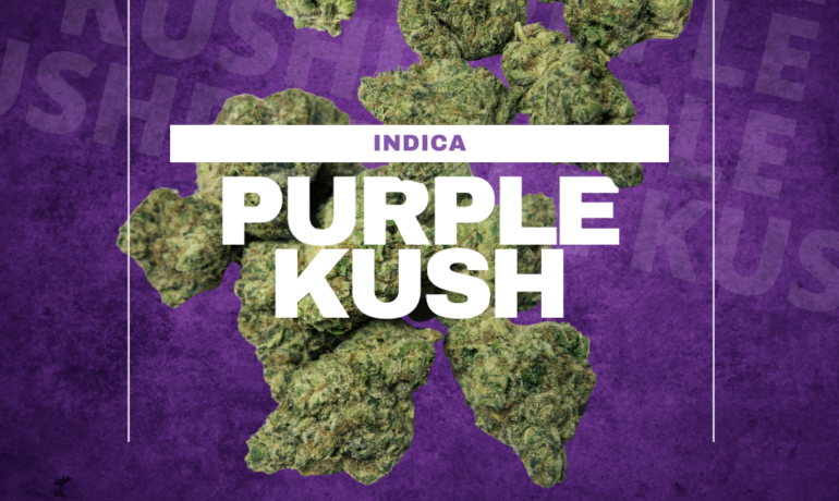 purple kush