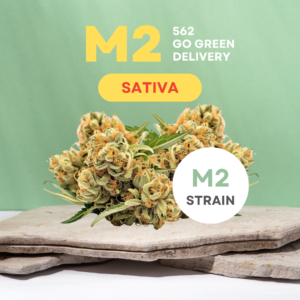 m2 strain