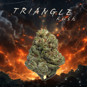 triangle kush