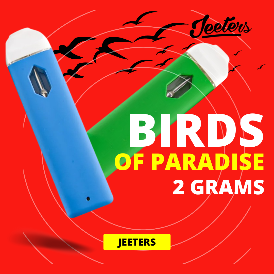 jeeter 2 grams birds of paradise