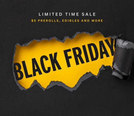 black friday sale