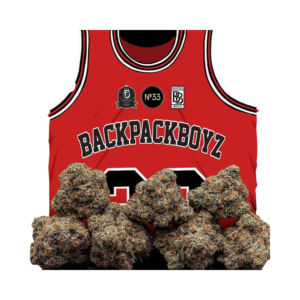 backpack boyz 3.5