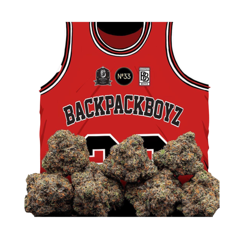 backpackboyz 22 gelato
